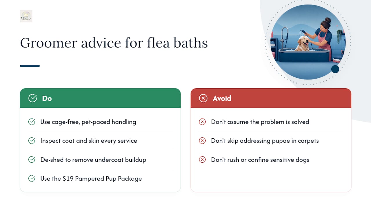 What we see at The Pampered Pup: a groomer's perspective on flea baths — overview diagram