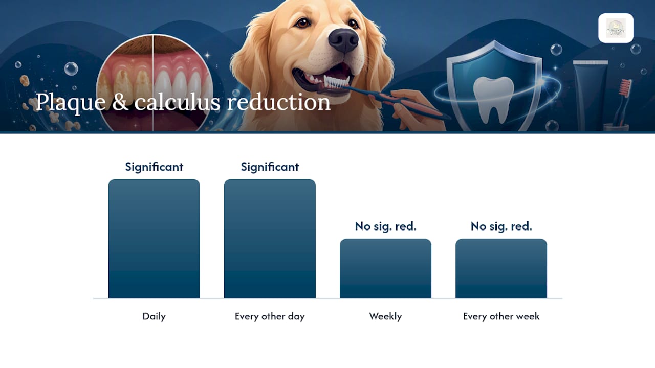 Diagram comparing dog teeth brushing frequencies and effects