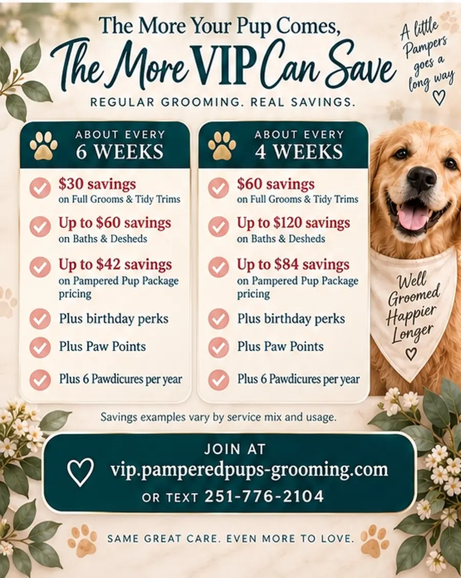 VIP Club savings comparison: grooming about every six weeks saves $30 on full grooms and tidy trims and up to $60 on baths and de-sheds, while grooming about every four weeks saves $60 and up to $120